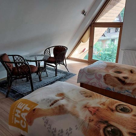 Apartamenty Cede Закопане Екстер'єр фото