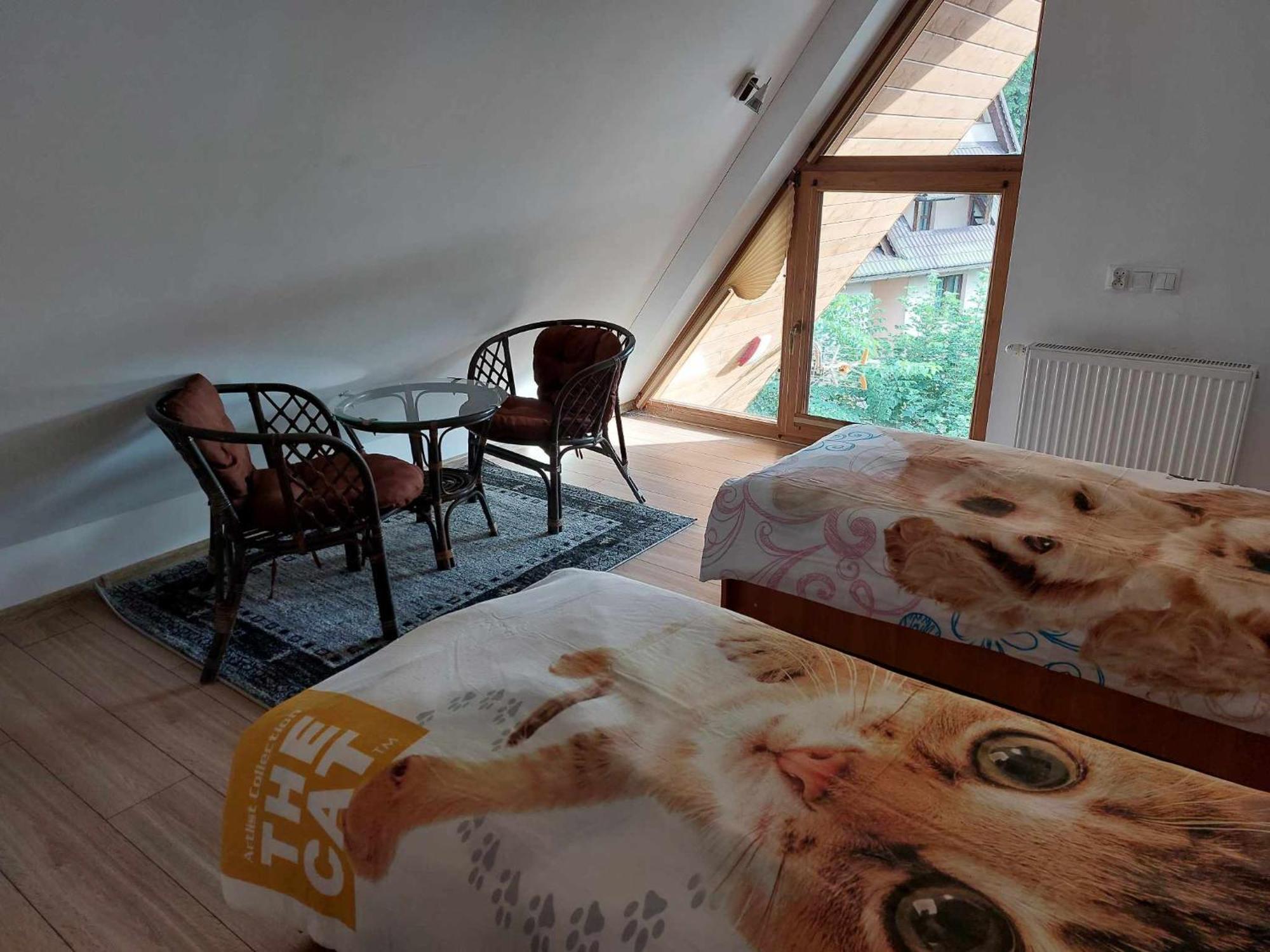 Apartamenty Cede Закопане Екстер'єр фото